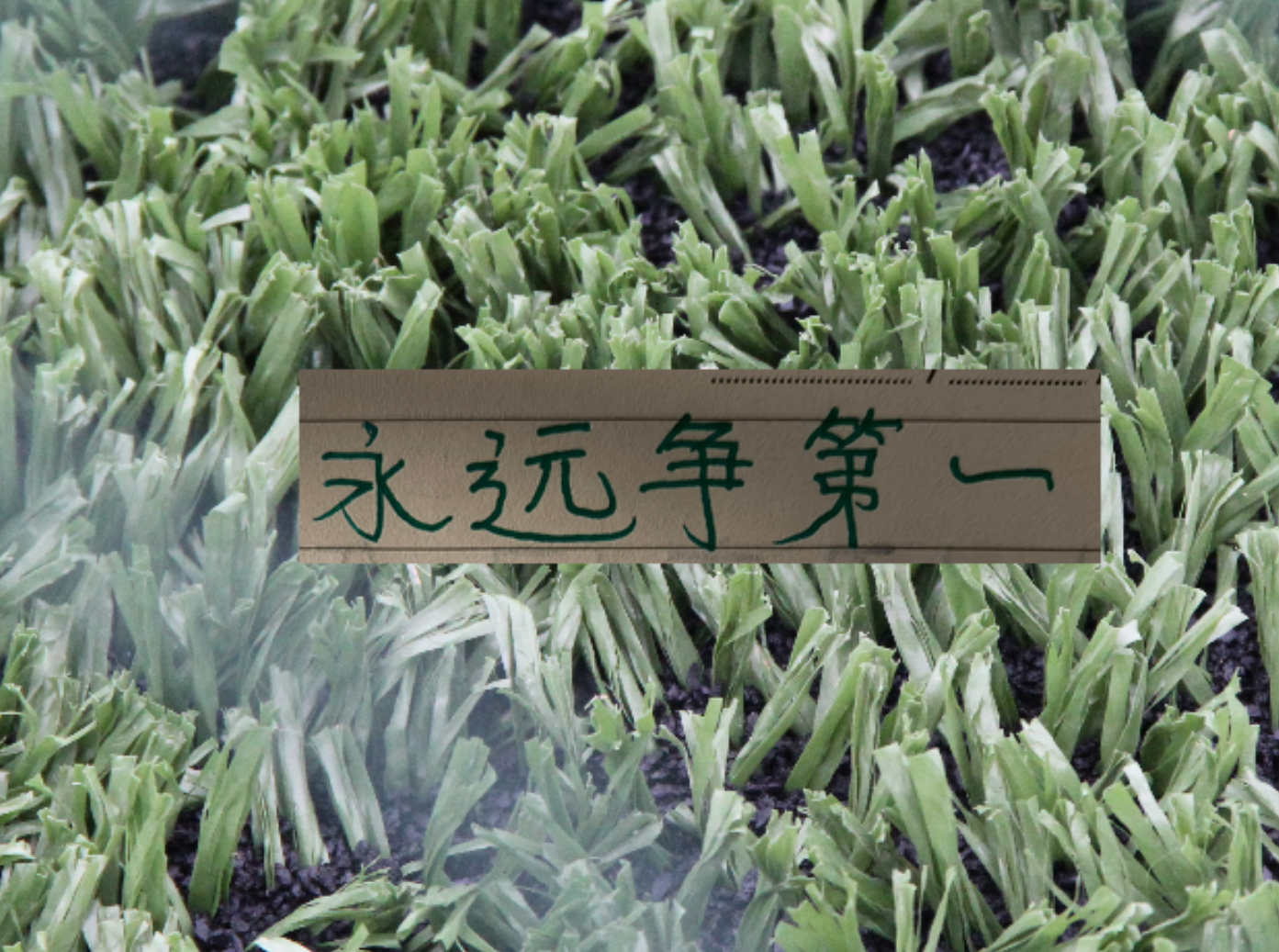 开云-连续收割3个中超冠军!再加第一跑男